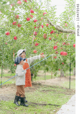 りんご狩り　ファミリー 114478548