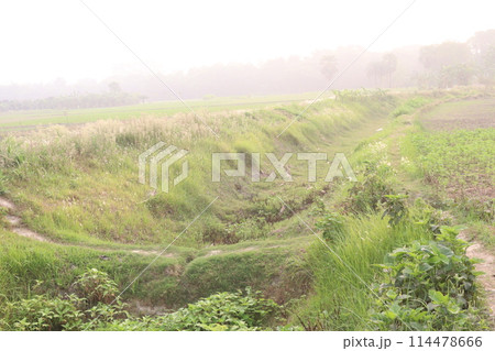 waterway channels earth canal view on field 114478666