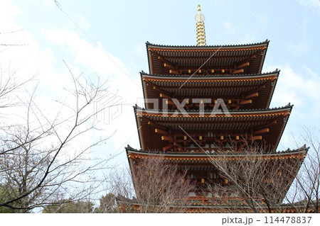 日本三景の京都天橋立の春風景 日本三景の京都天橋立の春風景 114478837