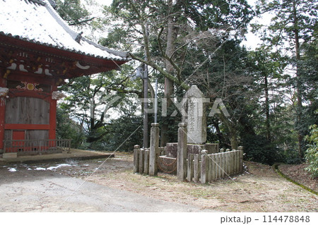 日本三景の京都天橋立の春風景 日本三景の京都天橋立の春風景 114478848