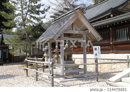 日本三景の京都天橋立の春風景 114478881