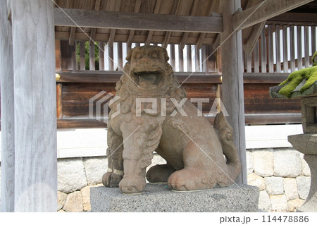 日本三景の京都天橋立の春風景 114478886