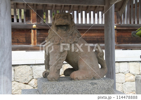 日本三景の京都天橋立の春風景 114478888