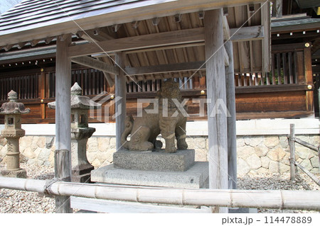 日本三景の京都天橋立の春風景 114478889