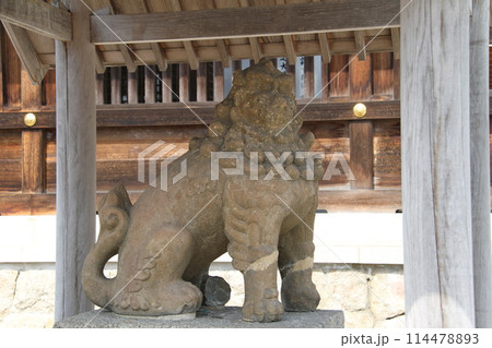 日本三景の京都天橋立の春風景 114478893