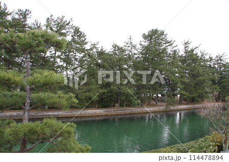 日本三景の京都天橋立の春風景 114478894