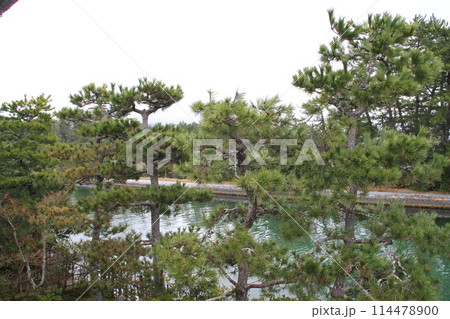 日本三景の京都天橋立の春風景 114478900