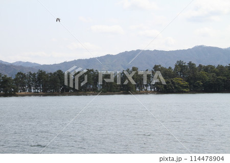 日本三景の京都天橋立の春風景 114478904