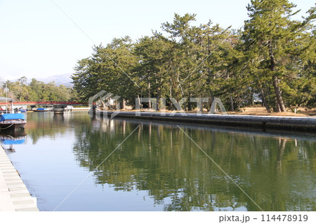 日本三景の京都天橋立の春風景 114478919