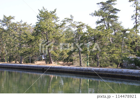 日本三景の京都天橋立の春風景 日本三景の京都天橋立の春風景 114478921