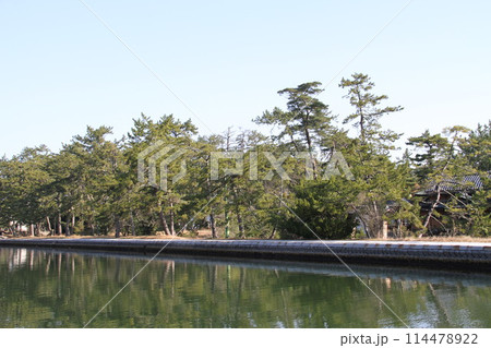 日本三景の京都天橋立の春風景 日本三景の京都天橋立の春風景 114478922