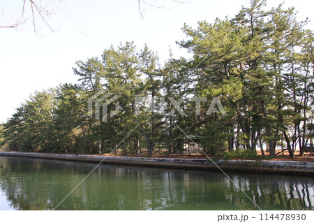 日本三景の京都天橋立の春風景 日本三景の京都天橋立の春風景 114478930