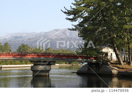 日本三景の京都天橋立の春風景 114478936