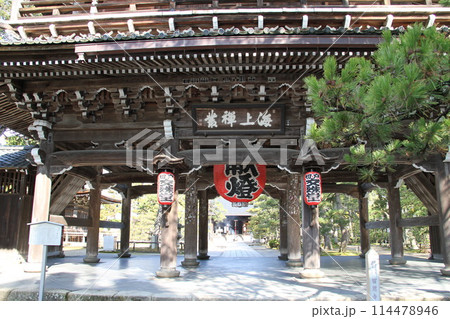 日本三景の京都天橋立の春風景 114478946