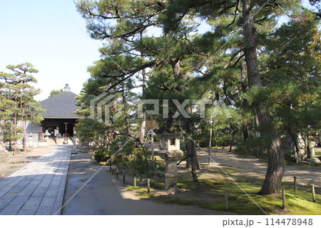 日本三景の京都天橋立の春風景 日本三景の京都天橋立の春風景 114478948