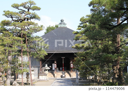 日本三景の京都天橋立の春風景 114479006
