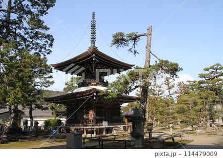 日本三景の京都天橋立の春風景 日本三景の京都天橋立の春風景 114479009