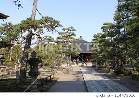 日本三景の京都天橋立の春風景 114479010