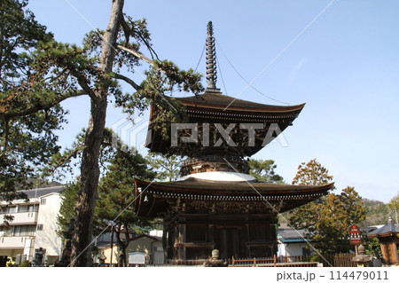 日本三景の京都天橋立の春風景 日本三景の京都天橋立の春風景 114479011