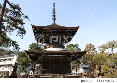 日本三景の京都天橋立の春風景 114479013