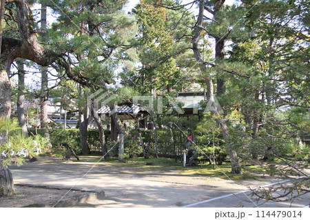 日本三景の京都天橋立の春風景 114479014