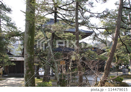 日本三景の京都天橋立の春風景 114479015