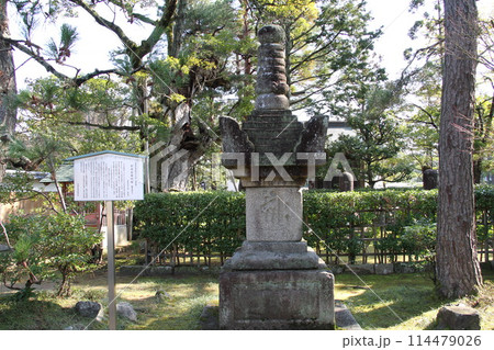 日本三景の京都天橋立の春風景 114479026