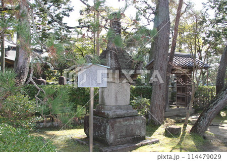 日本三景の京都天橋立の春風景 114479029