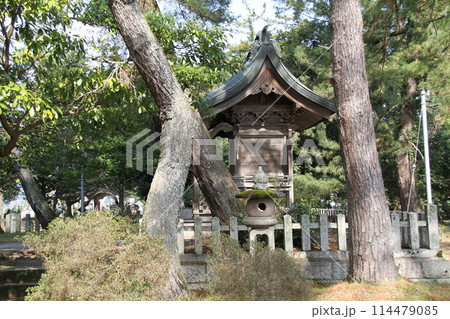 日本三景の京都天橋立の春風景 114479085