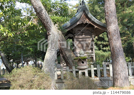 日本三景の京都天橋立の春風景 114479086