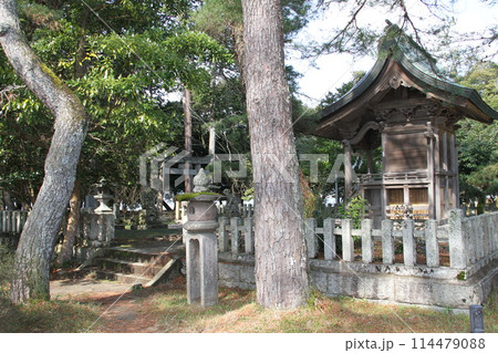 日本三景の京都天橋立の春風景 114479088