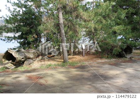 日本三景の京都天橋立の春風景 114479122