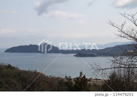 日本三景の京都天橋立の春風景 日本三景の京都天橋立の春風景 114479201
