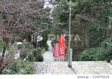 日本三景の京都天橋立の春風景 日本三景の京都天橋立の春風景 114479229