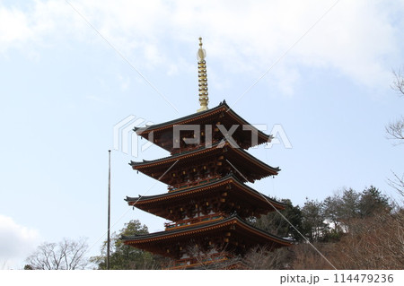 日本三景の京都天橋立の春風景 114479236