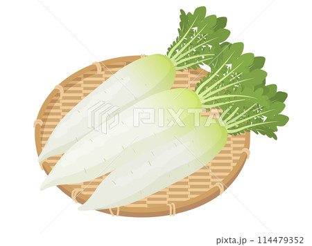 かごに盛られた大根のベクターイラスト かごに盛られた大根のベクターイラスト 114479352
