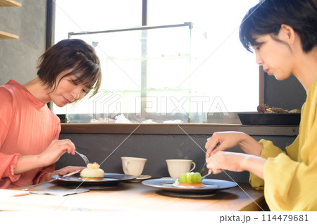 カフェでケーキを食べる二人の女性 カフェでケーキを食べる二人の女性 114479681