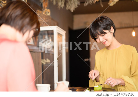 カフェでケーキを食べる二人の女性 カフェでケーキを食べる二人の女性 114479710