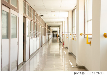 学校の廊下 114479719