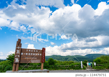 長野県下諏訪町 夏の八島湿原をトレッキングする人 長野県下諏訪町 夏の八島湿原をトレッキングする人 114479731