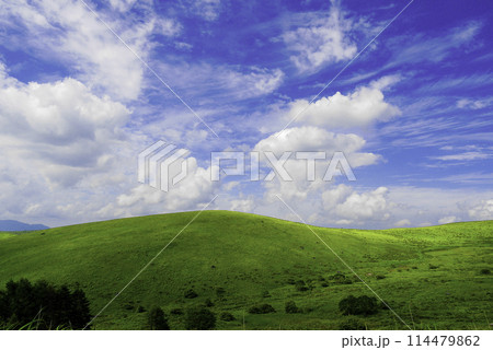 なだらかな丘と夏の空 114479862