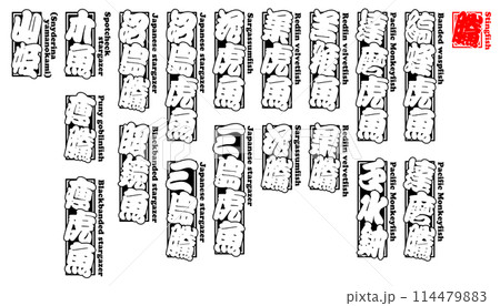 鰧 虎魚 おこぜ ラベル 千社札 英語 2 鰧 虎魚 おこぜ ラベル 千社札 英語 2 114479883