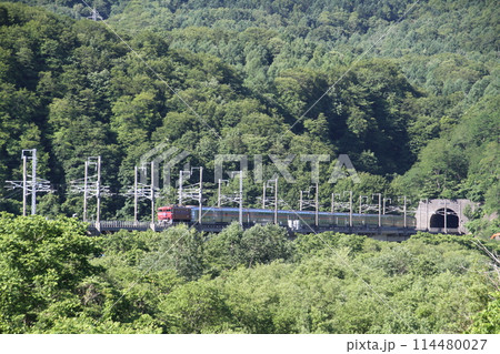 寝台特急カシオペア 114480027