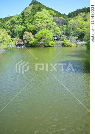 鎌北湖 新緑の湖畔 春の風景 鎌北湖 新緑の湖畔 春の風景 114480031