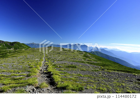 朝の乗鞍大黒岳からの風景（撮影地：乗鞍、大黒岳） 114480172