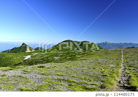 朝の乗鞍大黒岳からの風景（撮影地：乗鞍、大黒岳） 114480175