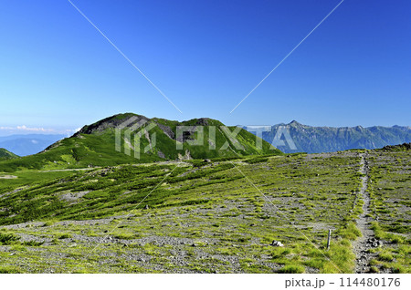 朝の乗鞍大黒岳からの風景（撮影地：乗鞍、大黒岳） 114480176
