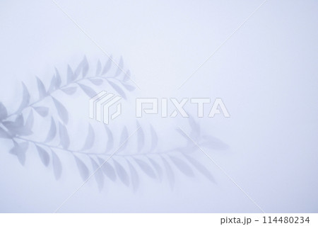 葉の影の背景素材　夏のイメージ 114480234