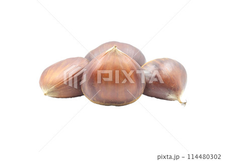 栗【長野県産　小布施栗】影なし 114480302