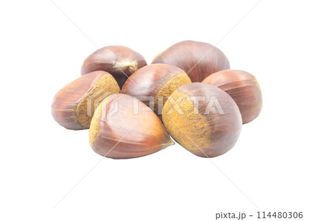 栗【長野県産　小布施栗】影なし 114480306